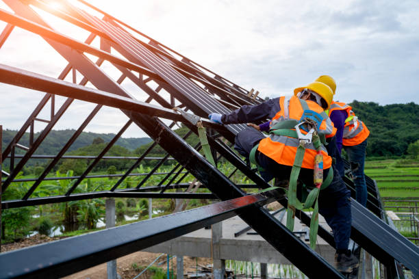 Best Local Roofing Companies  in Carlisle, KY